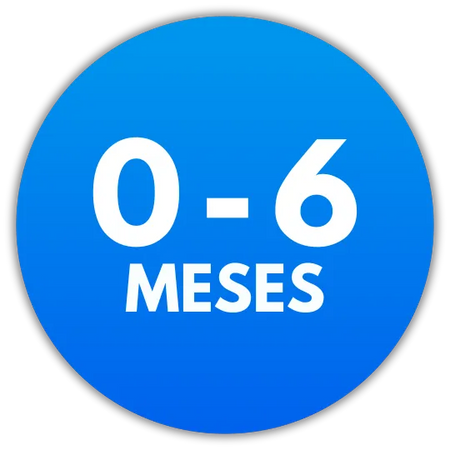 0-6 Meses