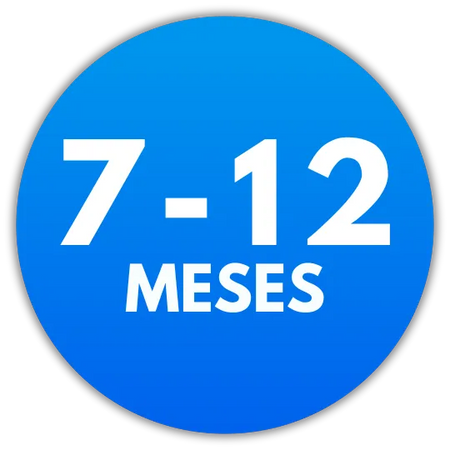 7-12 Meses